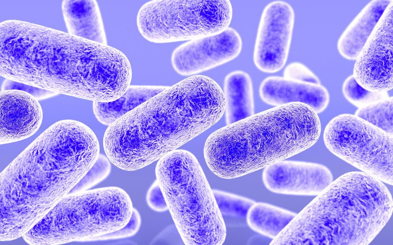 3d rendering bacteria microscope