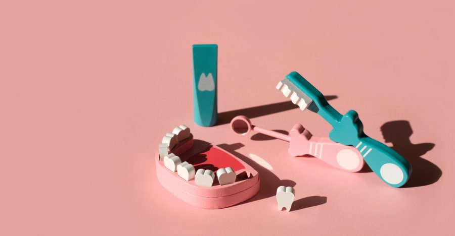 A model of a jaw with a lost tooth and tools for daily dental care