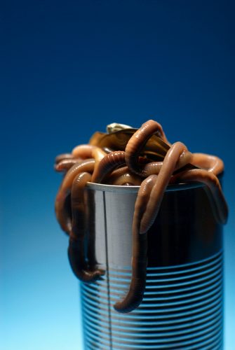 Can of worms