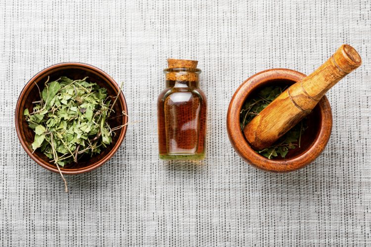 Orthilia in herbal medicine.Homeopathy and herbal medicine