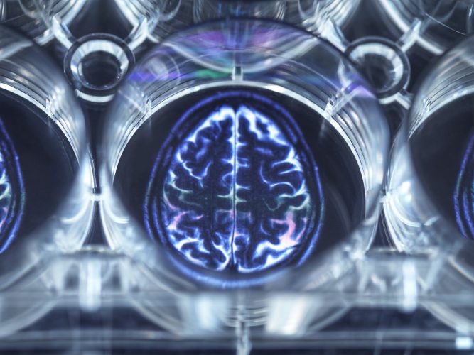 Pipetting potential cure for brain disorders into a multi well plate