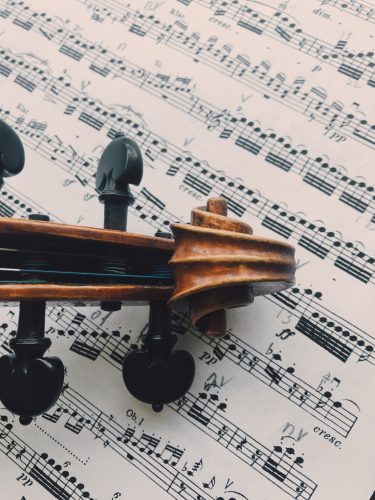 Violin