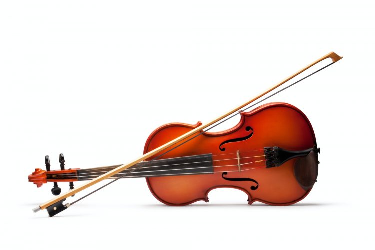 Violin