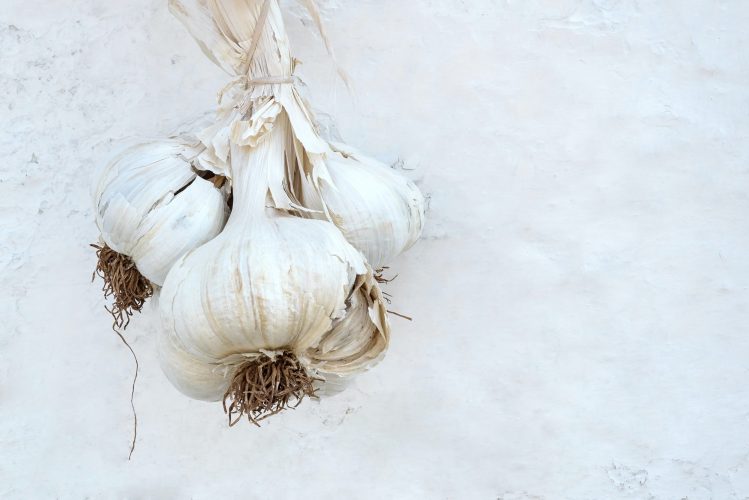 Bunch of garlic hanging on the wall