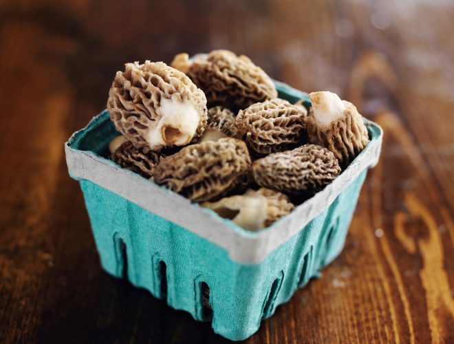 freshly picked morel mushrooms in basket