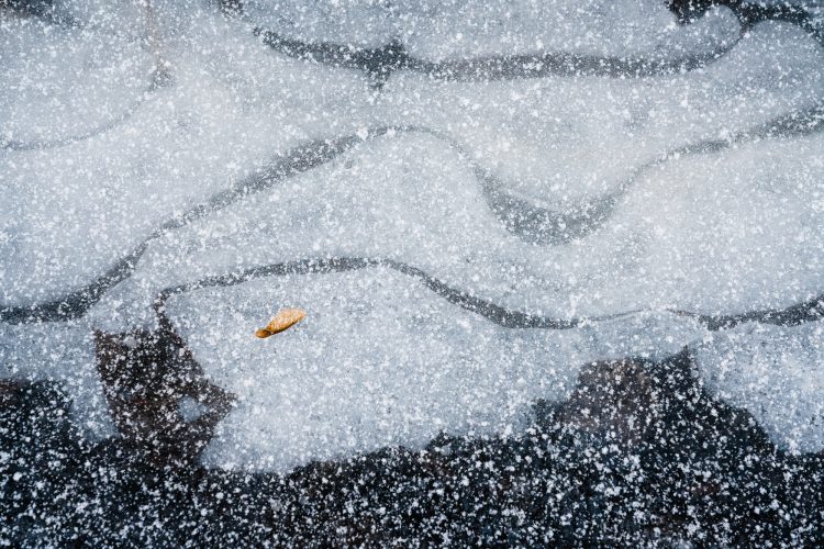 Snow falling on ground