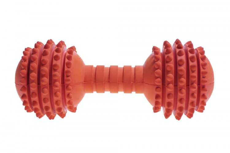 Pet Toy