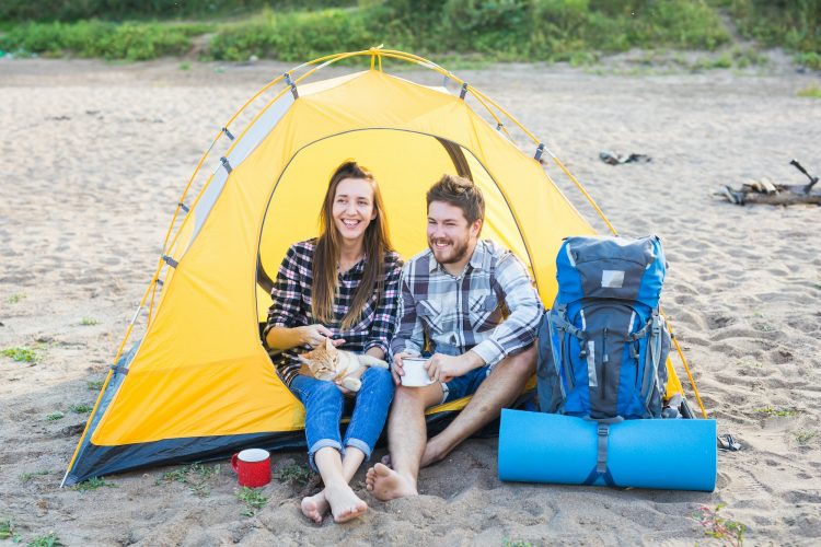 People, tourism and nature concept - Cute couple sitting with a cat in yellow tent