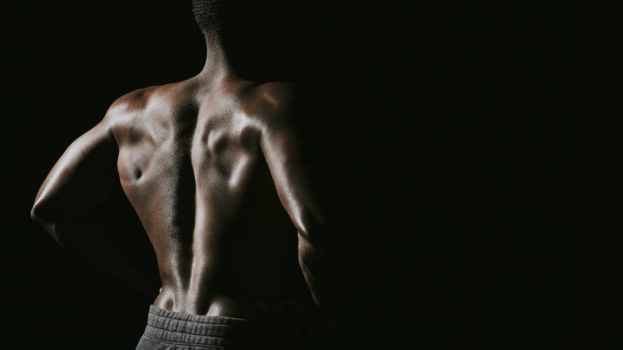 Flexed back muscles