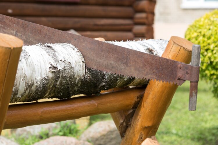 Saw a log