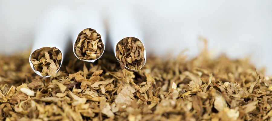 Banner of rolled cigarette on tobacco