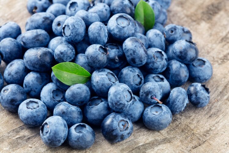 Blueberry