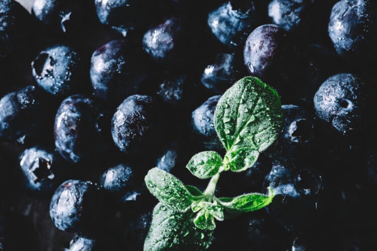 Pile of fresh juicy blueberry fruits and a wet green leaf