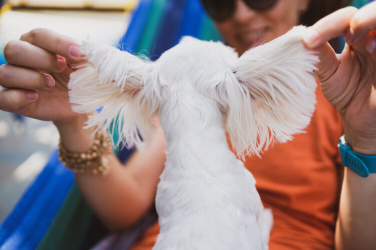 Woman playing with dog’s ears