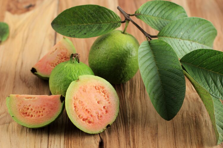 Closeup of a Pink Red Guava Cut in Half, Fresh Picked
