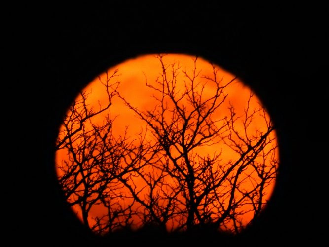 Orange moon rising