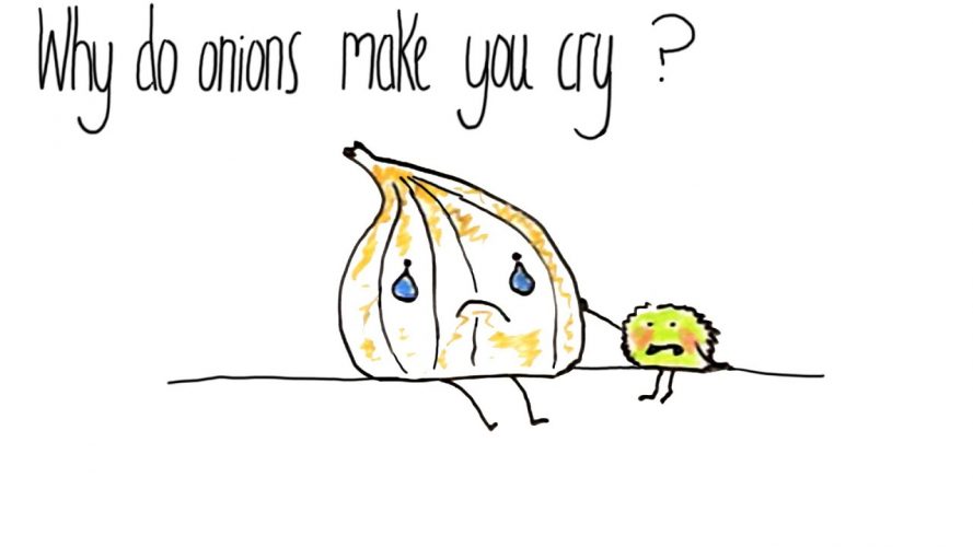 Why do onions make you cry banner