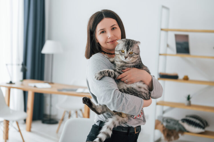 Cute young woman with her scottish fold cat standing indoors. Pet is on the hands