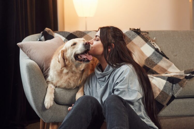 Happy owner of beautiful animal. Woman is with golden retriever dog at home